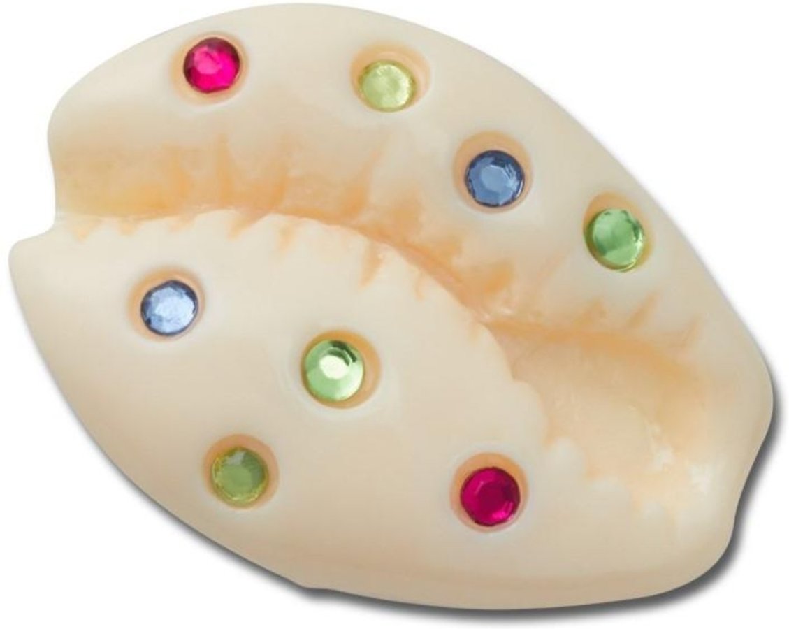 Infantil - Jibbitz™ Concha Puka com Gemas