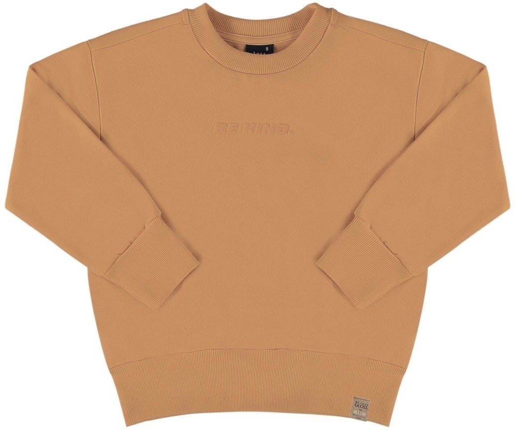 Imagem principal Infantil - Blusão Básico em Moletom Juvenil Gloss marrom Gloss marrom