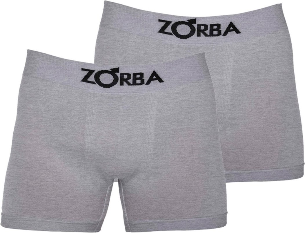 Imagem principal Kit com 2 Cuecas Boxer Zorba 781 Mescla cinza Zorba cinza
