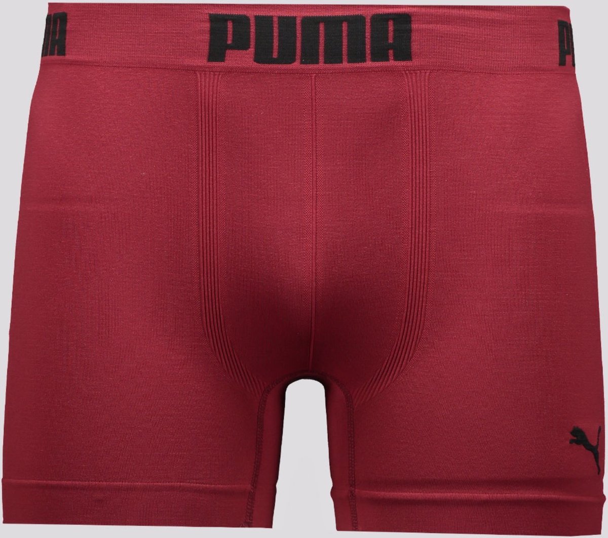Cueca Boxer Puma Sem Costura I