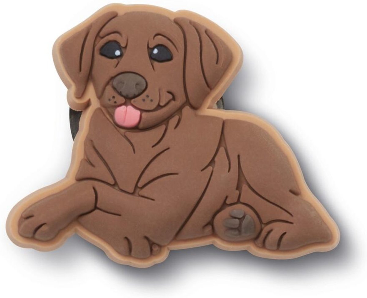 Infantil - Jibbitz™ Filhote Labrador Marrom