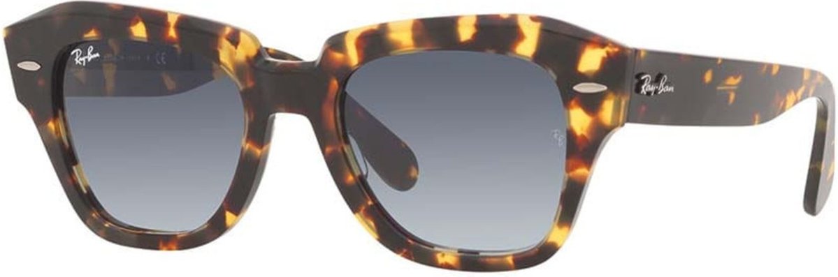 Imagem principal Óculos de Sol Ray-Ban State Street Fleck marrom Ray-Ban marrom