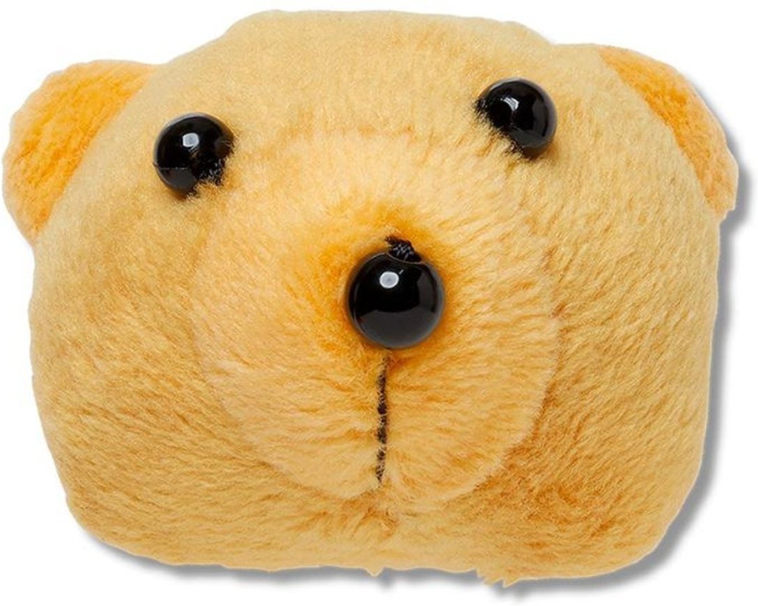 Infantil - Jibbitz™ Face do Teddy Bear