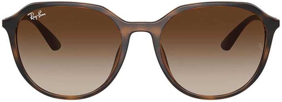 Imagem principal Óculos de Sol Ray-Ban RB4415L marrom Ray-Ban marrom