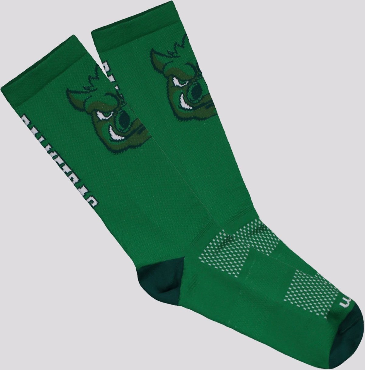 Imagem principal Meia Palmeiras Gobatto Performance Rikam verde Rikam verde