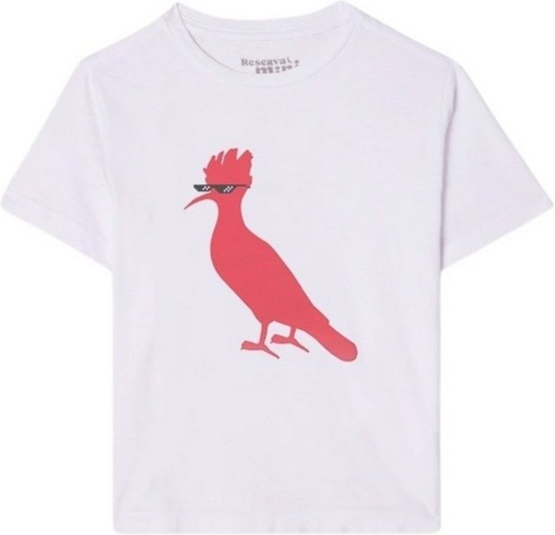 Imagem principal Infantil - Camiseta Pica-Pau Meme Reserva Mini cinza Reserva Mini cinza