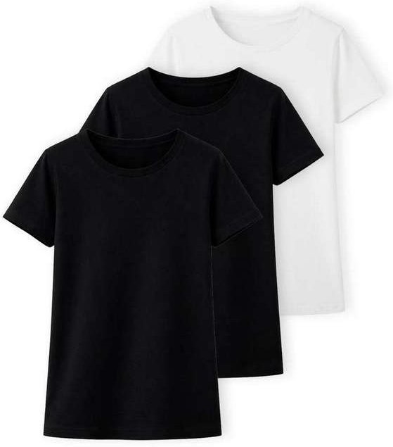 Imagem principal Kit com 3 Camisetas Feminina Hering 0241 Preto-Branco Hering