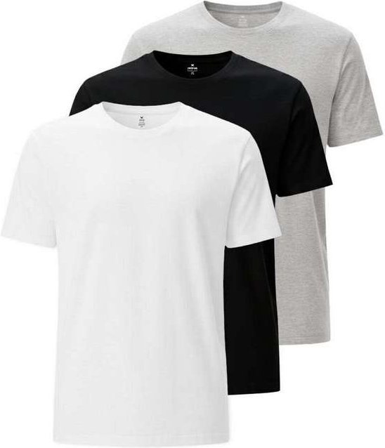 Imagem principal Kit com 3 Camisetas Masculina Hering 4fv2 1b-Branco-Preto-Mescla-Claro Hering