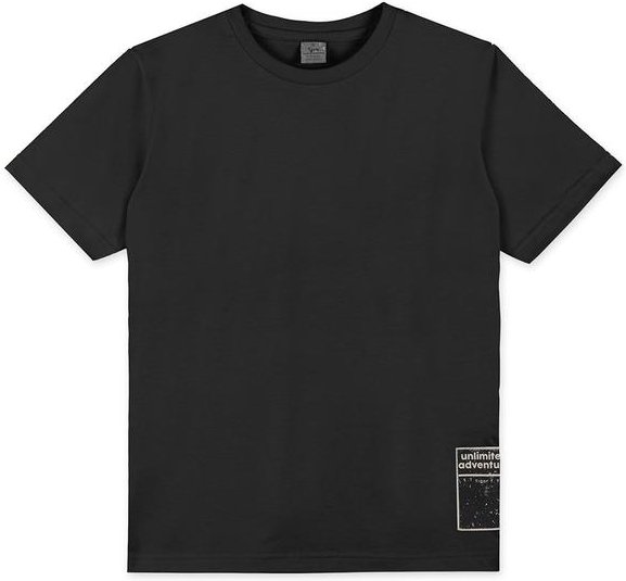 Camiseta T-Shirt Menino Tigor T. Tigre Preto