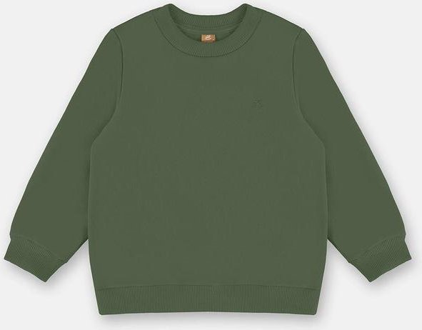 Blusão Básico em Moletom Menino Verde