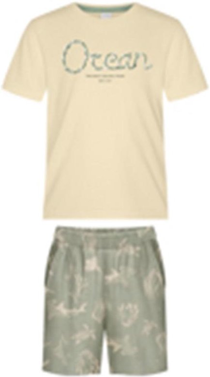 Imagem principal Conjunto com Bermuda Estampada e Camiseta Verde Alakazoo Alakazoo