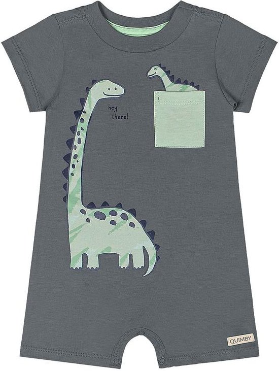 Imagem principal Macaquinho Dino Bebê Menino Cinza Quimby Quimby