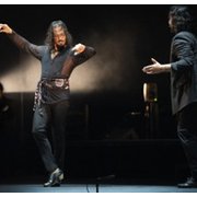 Farruquito - Recital de Baile