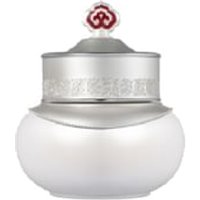 THE WHOO - Radiant White Intensive Korrekturstick 20 ml