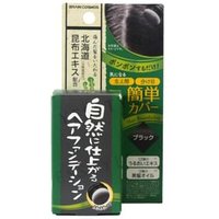BRAIN COSMOS - Rishiri Hair Foundation Black 5g
