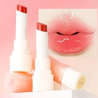 xixi - Icy Moisturizing Lipstick- 1-3 #3 Guava