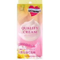 ISHIHARA SHOTEN - Quality Cream Organdy Net 1 pc product view