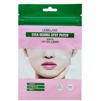 LEBELAGE - Cica Derma Spot Patch 40 patches