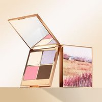 Pudaier - Pearlescent 4-Color Contouring Palette - 4 Types 02# Iced Salmon - 17g