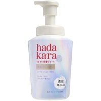 LION - Hadakara Premium Moist Body Care Soap Foam Soap 500ml