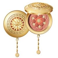 PALACE IDENTITY - Blossom Blush - 3 Colors #H02 HIBISCUS - 7g