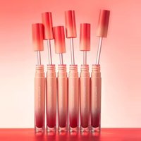 HEXZE - Velvet Matte Lip Tint - #M67-#M75 #M69