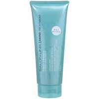 KUMANO COSME - Salon Link Amino Treatment Repair & Protect 300g