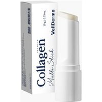 WellDerma - Premium Collagen Multi Stick 2026 Version - 10g
