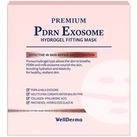 WellDerma - Premium PDRN Exosome Hydrogel Fitting Mask Set 30g x 4 sheets