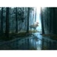 XXL Pieces - Caught by Light XXL Pieces - Caught by Light