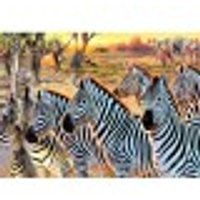 XXL Pieces - Zebras and Friends XXL Pieces - Zebras and Friends