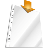 Durable Business Punched Pocket A4 Clear (100 Pack)