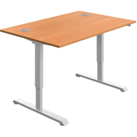 Serrion Single Motor Sit/Stand Desk 1200x800x730-1220mm Beech/White KF800324