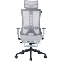 Cadeira de Escritório Ergonômica Presidente XT Racer Office X-Eiffel, Cinza e Preta - XTO-119