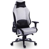 Cadeira Gamer XT Racer Draco NR17, Até 120kg, Com Almofadas, Reclinável, Descanso de Braço 4D, Preto e Cinza - XTR-065