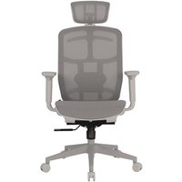 Cadeira de Escritório Ergonômica DT3 Diana+, Reclinável, Cilindro de Gás Classe 4, Malha, Preta com Estrutura Cinza - 14561-7
