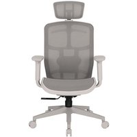 Cadeira de Escritório Ergonômica DT3 Diana, Até 100Kg, Cilindro Classe 4, Cinza Frame - 14589-7