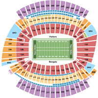 Cincinnati Bengals vs. New England Patriots