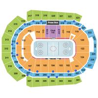 Iowa Wild vs. Grand Rapids Griffins