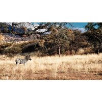 Image of Delta & Falls Overland (Westbound)