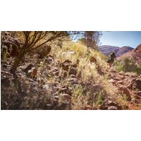 Image of Australia South to North–Melbourne to Darwin