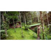 Image of Costa Rica Active Adventure