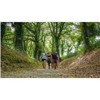Image of Walk the Camino de Santiago