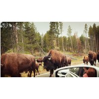 Image of National Parks of the Northwest US