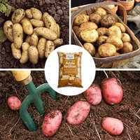 Complete Patio Potato Top-up Kit