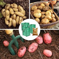 Complete Patio Potato Growing Kit