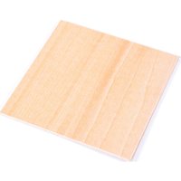 Snapmaker Lindenholzplatte 5er Set - 300 x 300 x 1,5 mm