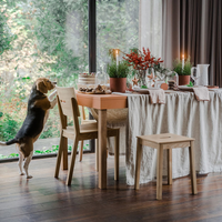 2% Rabatt auf den Massivholzstuhl Simplica I aus Eiche von 99rooms sichern