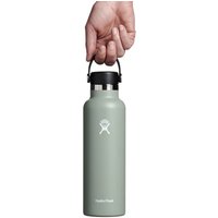 Hydro Flask 21oz Standard Mouth With Flex Cap, Agave