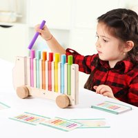 Montessori Wooden Toy Color Matching Games Color Cognition Educational Toys Fine Motor Training Toy Gifts for Kids Boys Girls